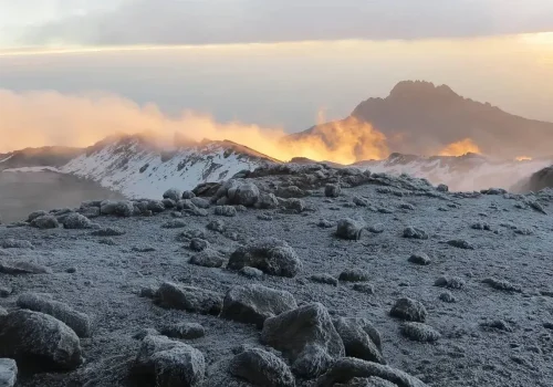 lemosho route mount kilimanjaro climbing scaled