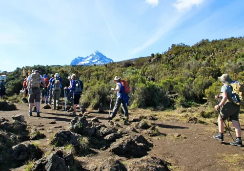 rongai route kilimanjaro copy
